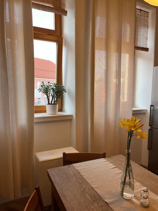 Apartman Pod Valdickou Branou Jičín Εξωτερικό φωτογραφία